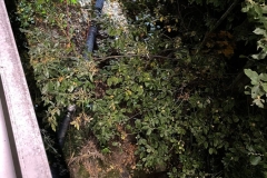IMG-20221019-WA0020