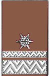 Brandmeister